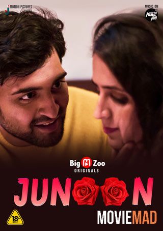 Jeeja Ka Junoon 2021 S01 HDRip BigMovieZoo Originals Complete Hindi 720p