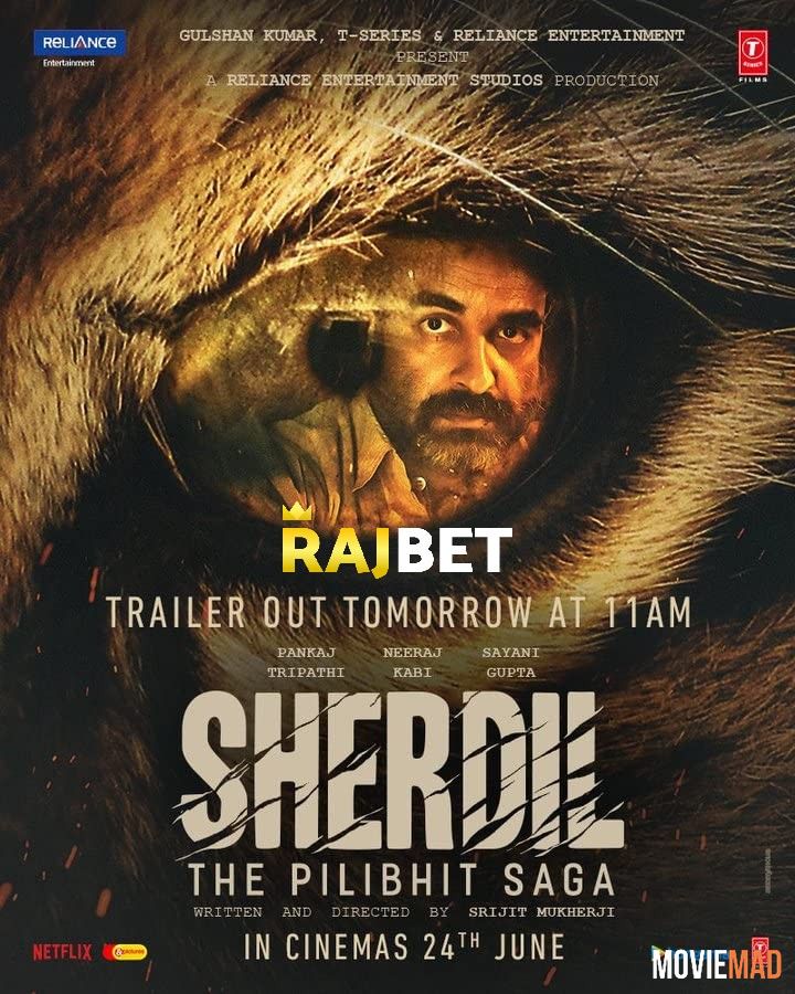 Sherdil 2022 Hindi (HQ Dub) Dubbed CAMRip Full Movie 720p 480p